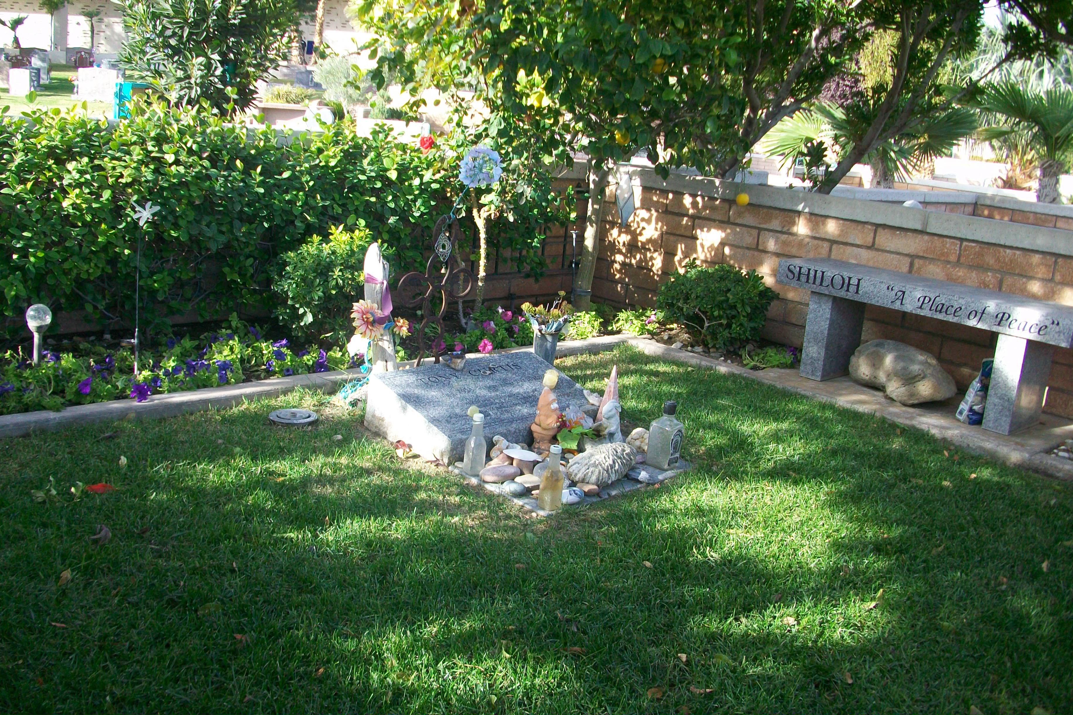 TONY CURTIS GRAVESITE
