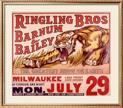 Ringling Brothers: Tiger
