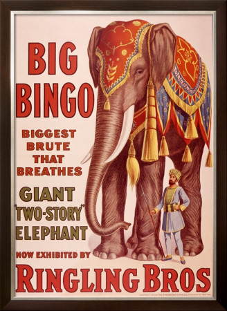 Ringling Brothers Circus: Big Bingo the Elephant