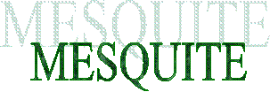 MESQUITE