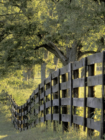 Fence at Sunrise, Bluegrass Region, Lexington, Kentucky, USA