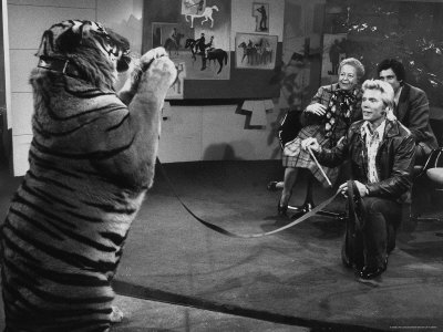 Animal Trainer Gunther Gebel Williams on "Panorama" with Guest Martha Mitchell and Maury Povich